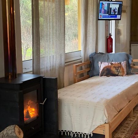 Вилла Loft - Casinha A Porta Арока Экстерьер фото